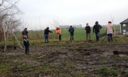 Plantations Cavalier   049